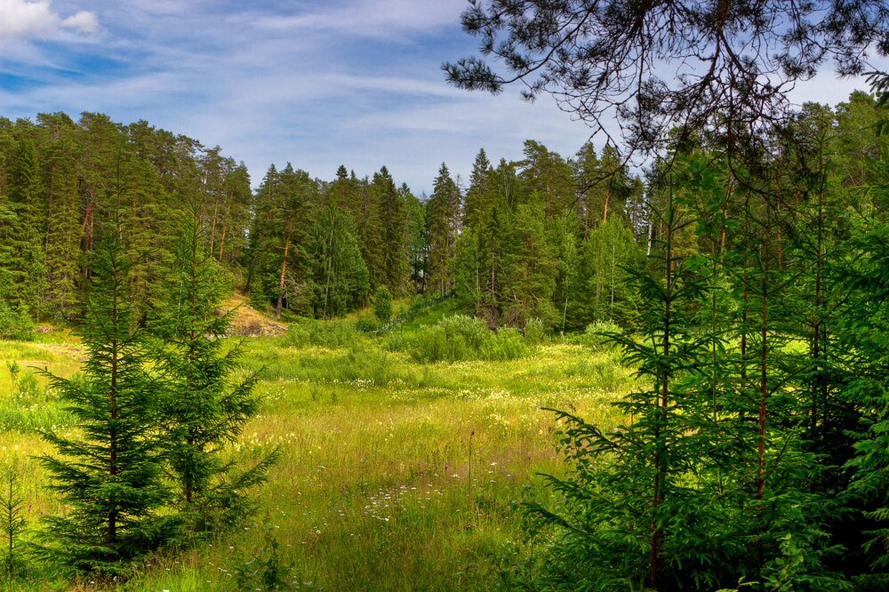 IMG_9983 Валаам Поляна.jpg