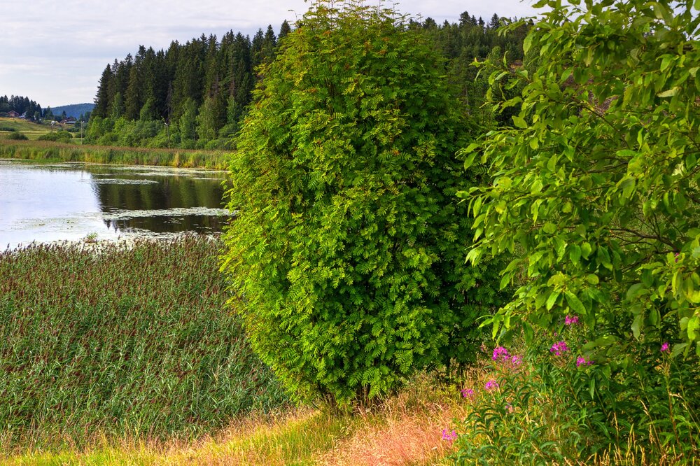 IMG_0909 Озеро Айранне.jpg