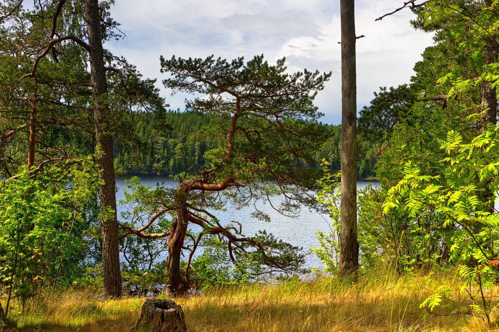 IMG_9872 Валаам.jpg