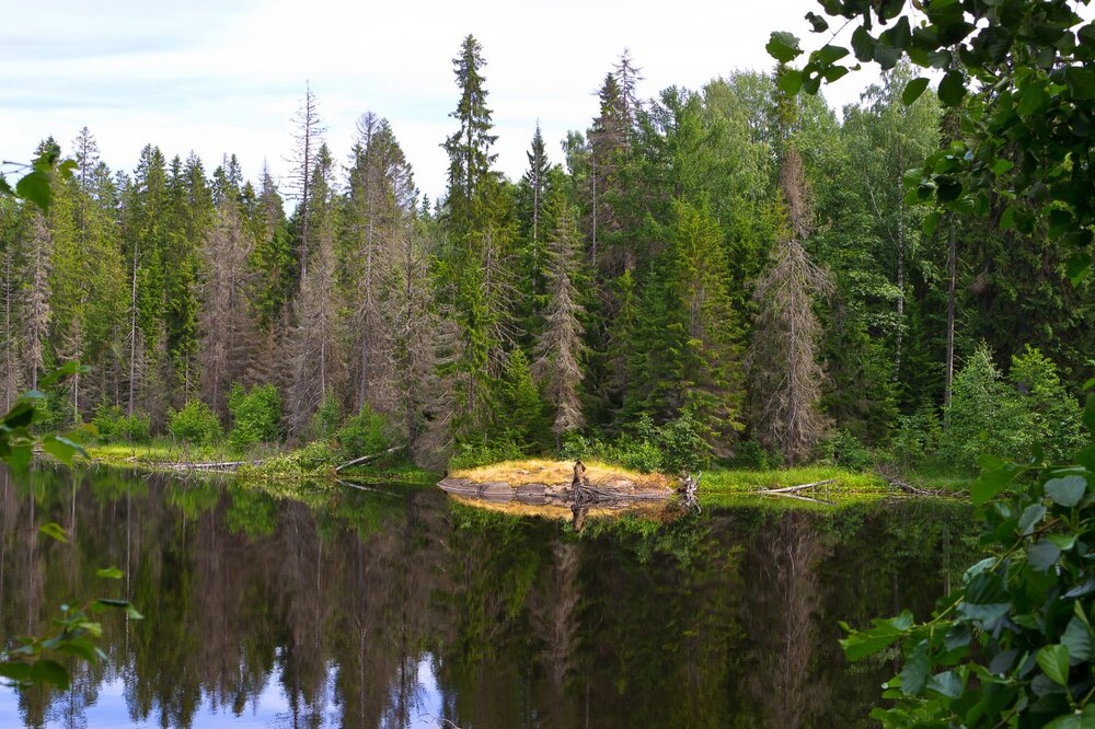 IMG_9963 Озера Валаама.jpg