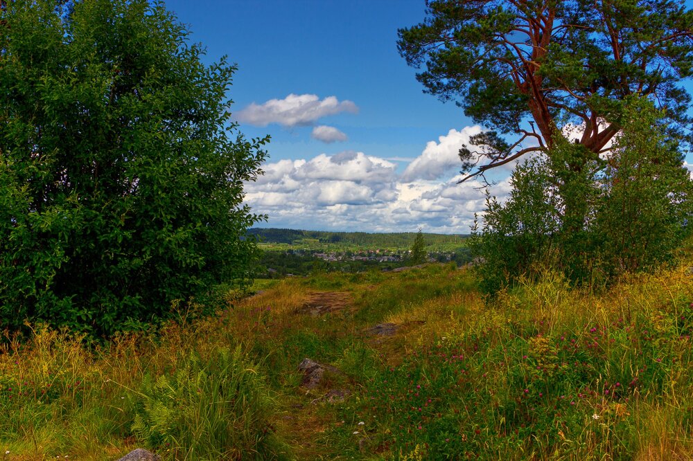 IMG_0314 Паасо.jpg