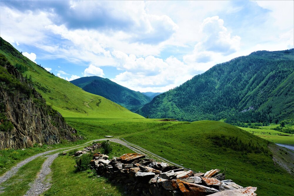 Алтай. тракт7.jpg