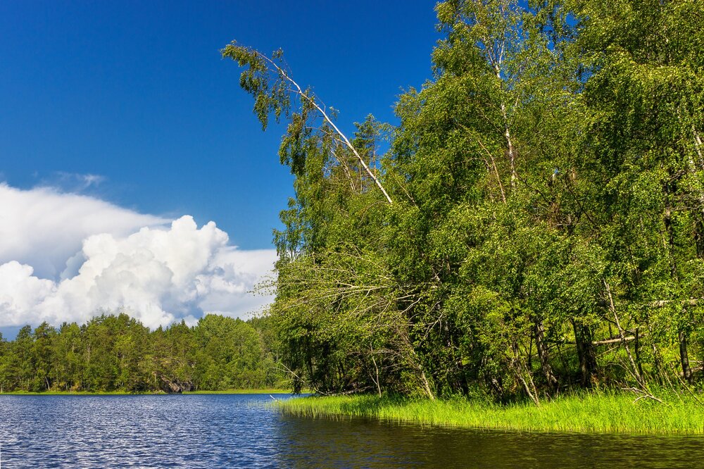 IMG_0146 Ладожские шхеры.jpg