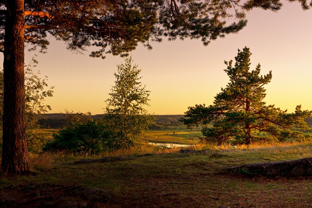 IMG_0604 Парк Ваккосалми Закат.jpg