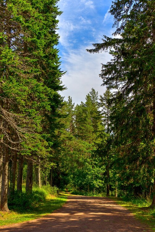 IMG_9904 Валаам.jpg