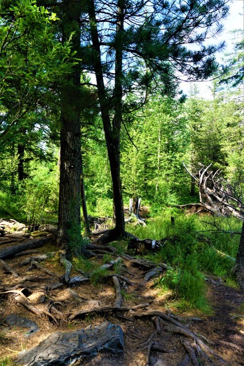 Алтай озеро 5.jpg