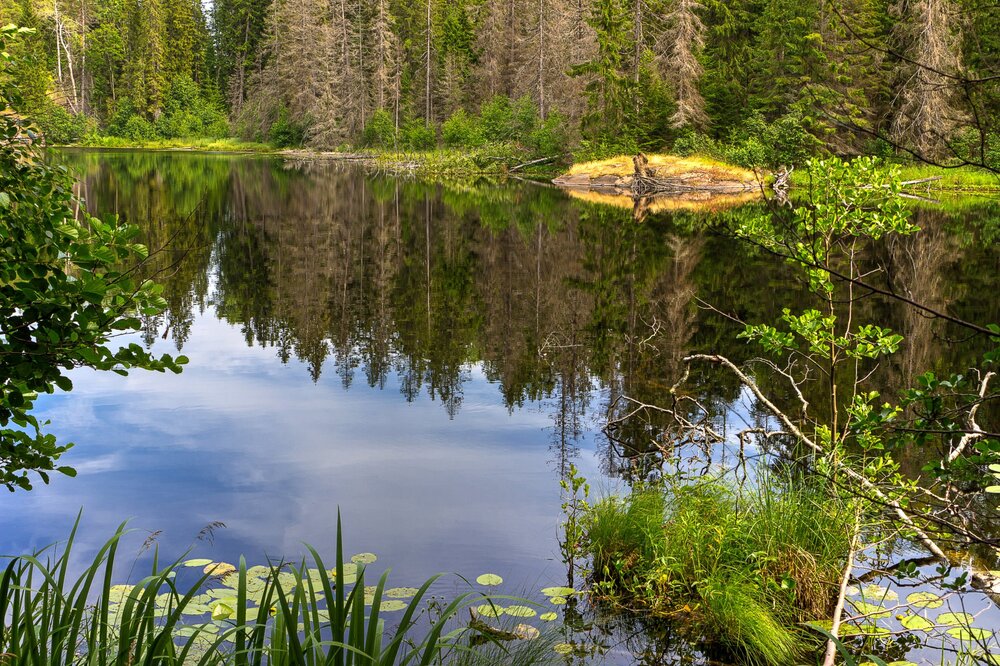 IMG_9961 Озера Валаама.jpg