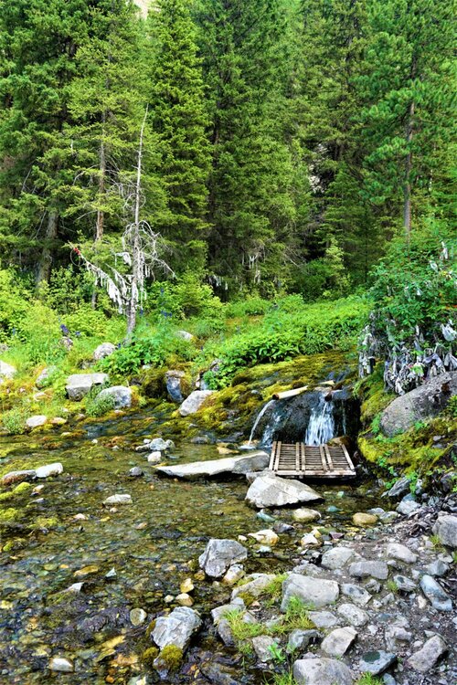 Алтай источник1.jpg