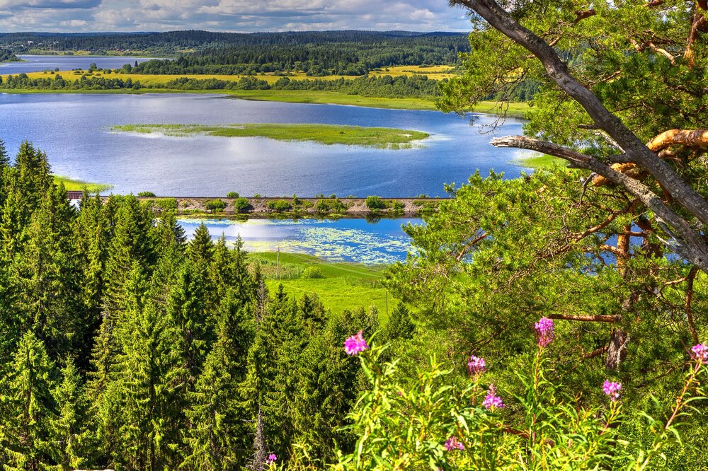 IMG_0351 Паасо.jpg