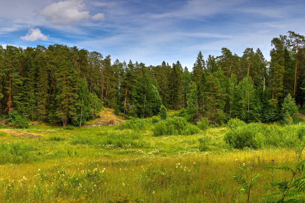 IMG_9984 Валаам Поляна.jpg