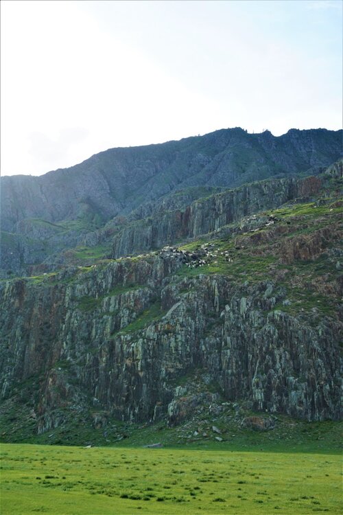 Алтай телефон2.jpg