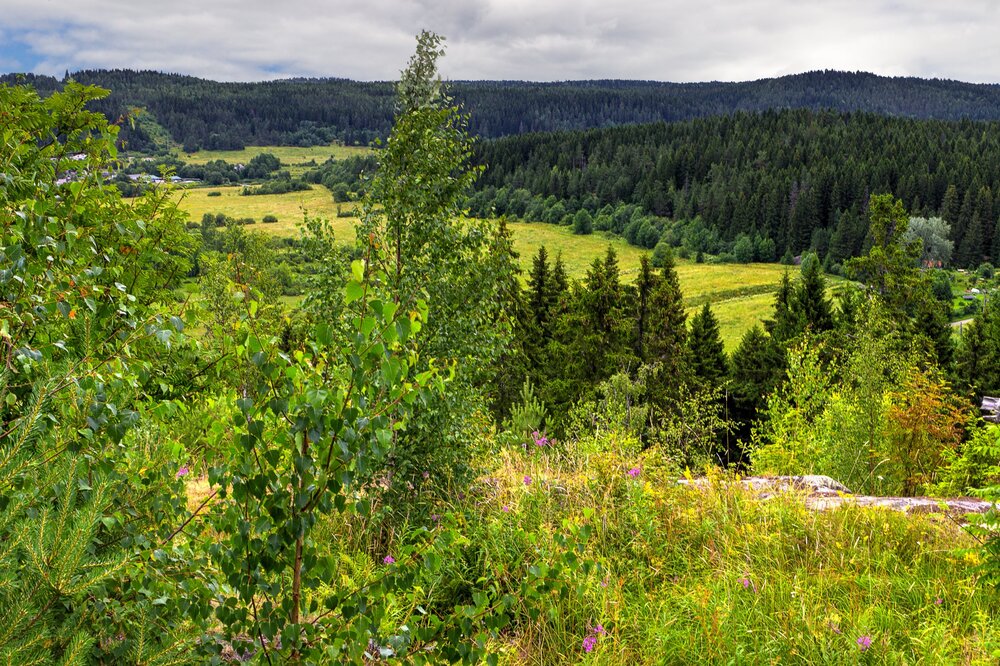 IMG_0286 Паасо.jpg