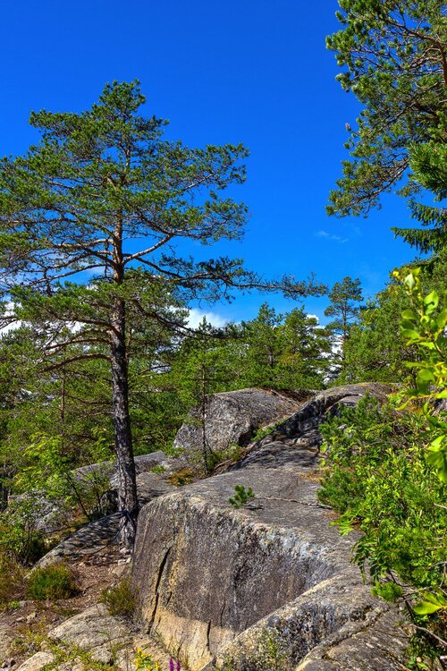 IMG_0242 Остров Хонкасало.jpg