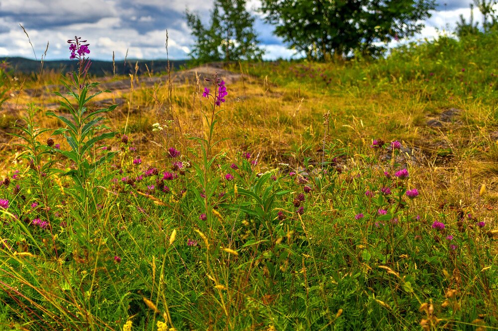 IMG_0290 Паасо.jpg