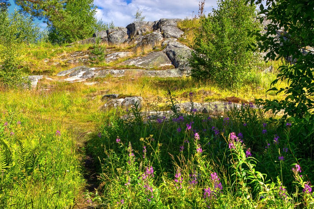 IMG_0343 Паасо.jpg