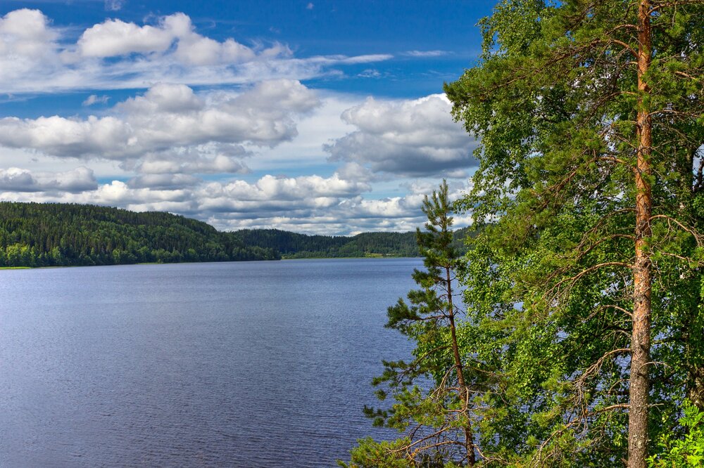 IMG_0439 Залив Кирьявалахти.jpg