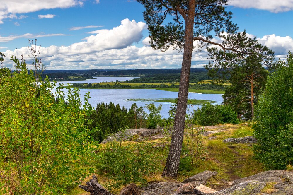 IMG_0276 Паасо.jpg