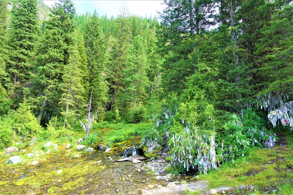 Алтай источник 2.jpg