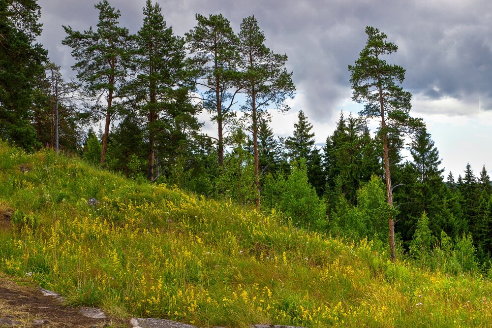 IMG_0313 Паасо.jpg