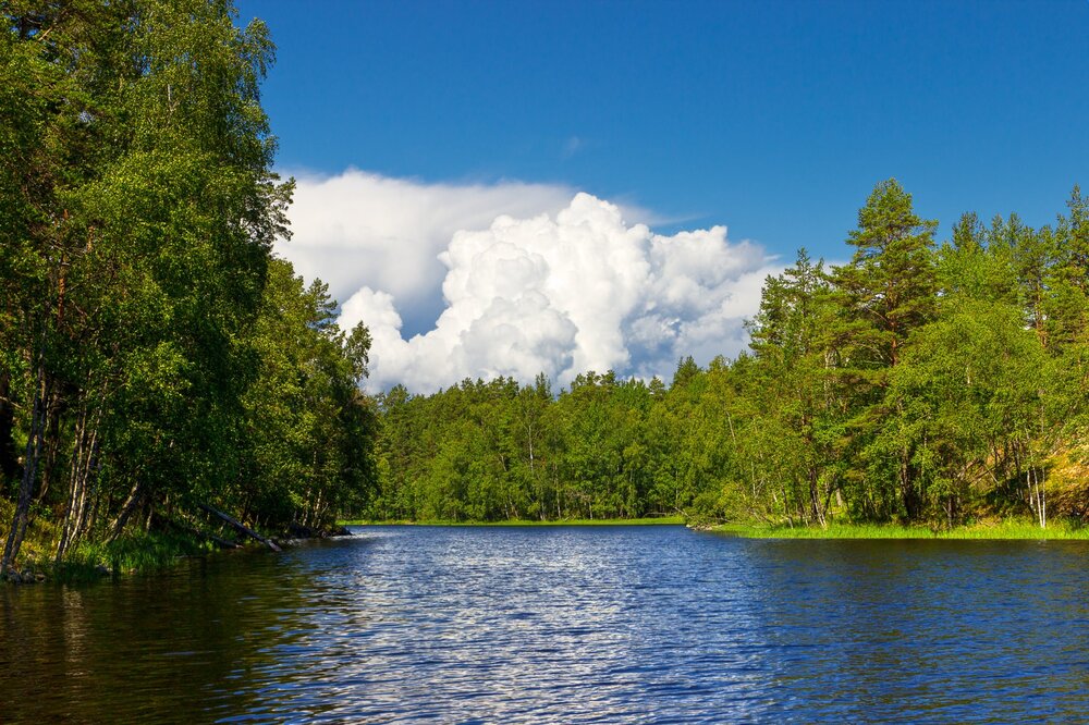 IMG_0157 Ладожские шхеры.jpg