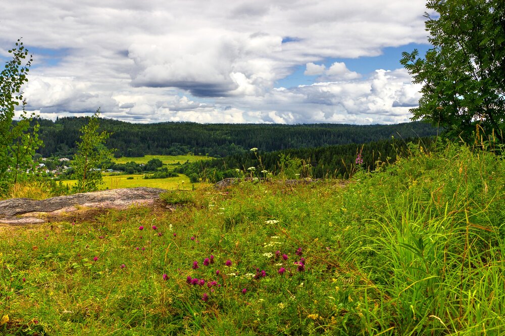 IMG_0288 Паасо.jpg