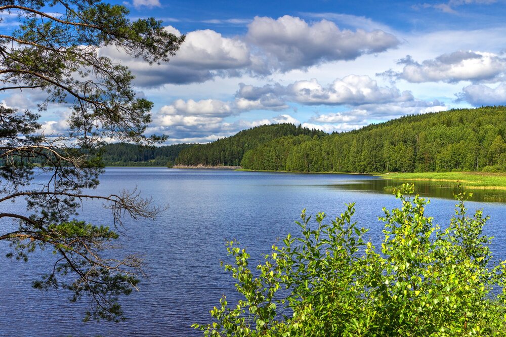 IMG_0440 Залив Кирьявалахти.jpg