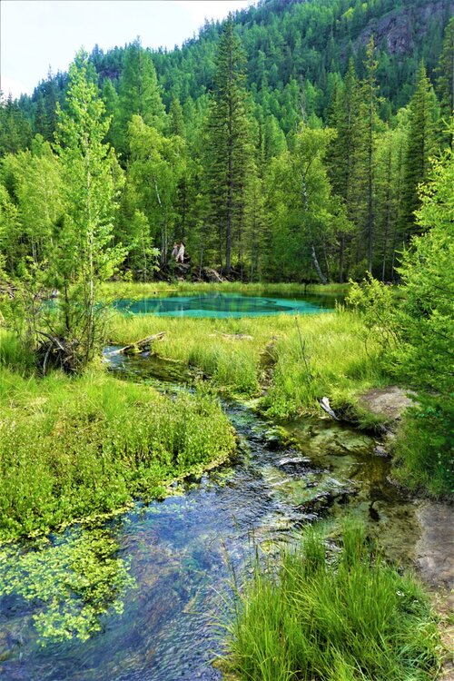 Алтай озеро6.jpg