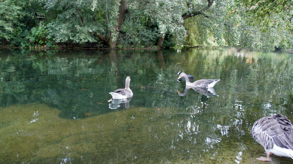 2010-10-04-Лондон-Сент-Джеймский парк-023.jpg