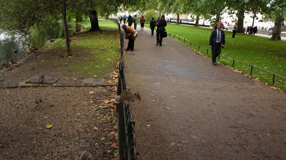 2010-10-04-Лондон-Сент-Джеймский парк-016.jpg