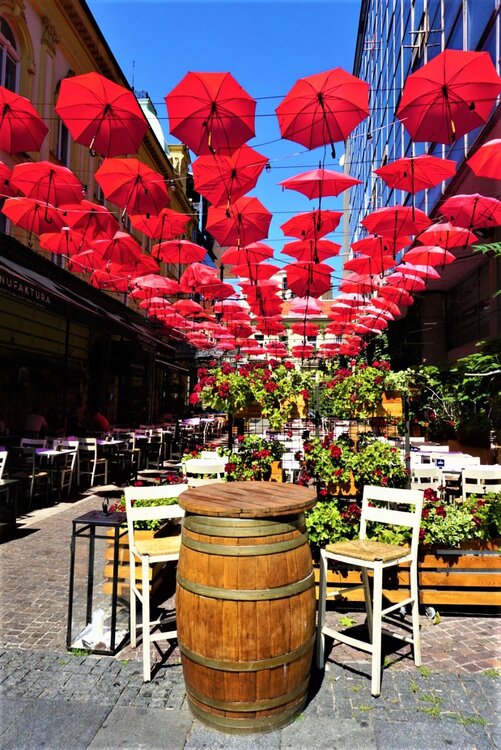 Белград улица 5.jpg