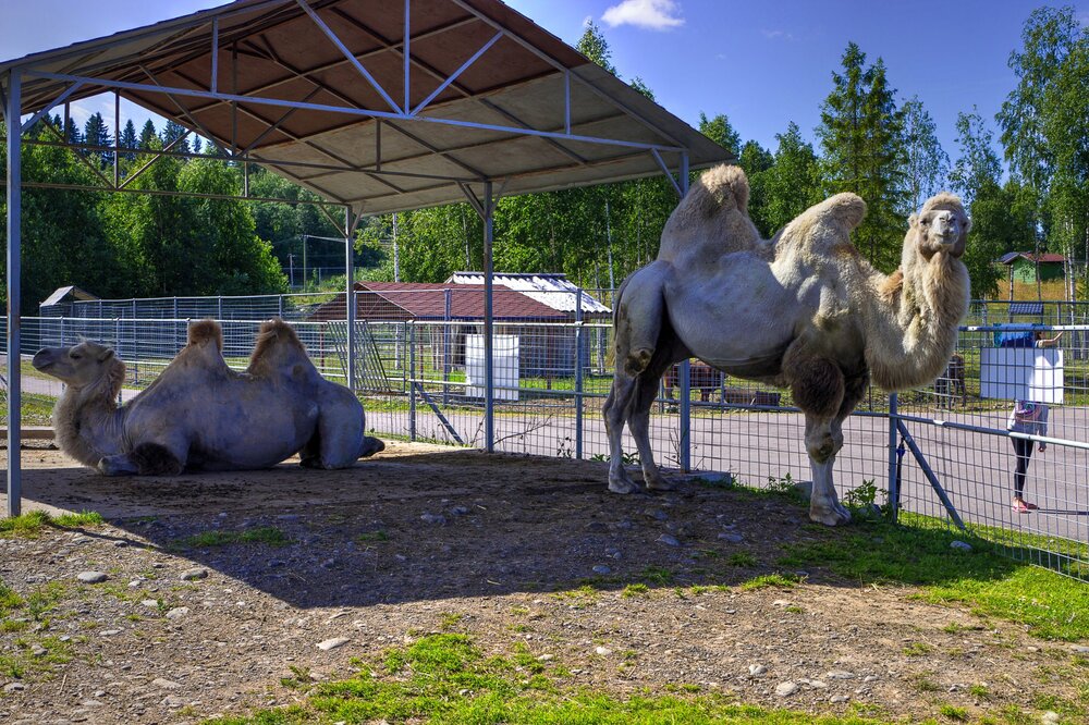 IMG_0513 Зоопарк.jpg