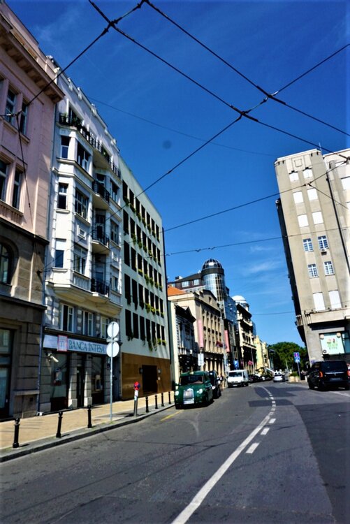 Белград местные окрестности 6.jpg