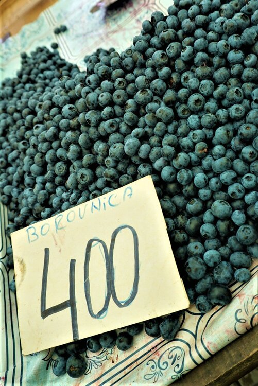 Белград дальше1.jpg