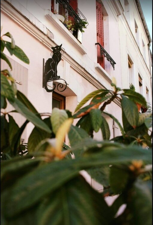 jTMopczEO2I — копия.jpg