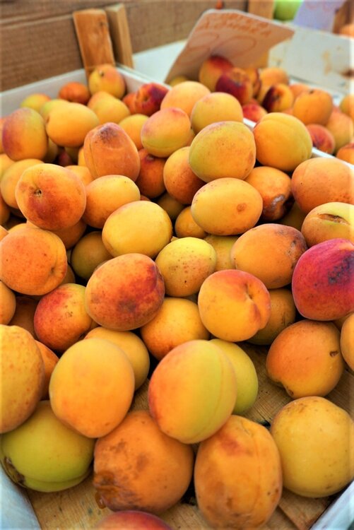 Белград дальше 5.jpg