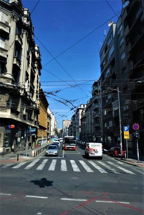 Белград местные окрестности 4.jpg