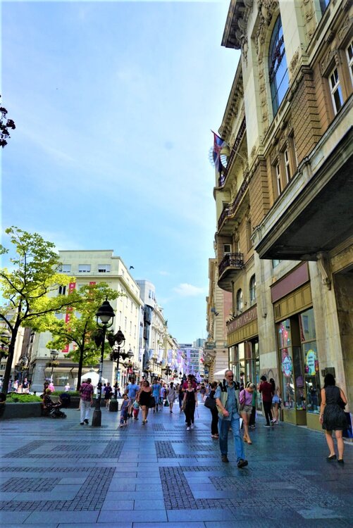 Белград улица 14.jpg