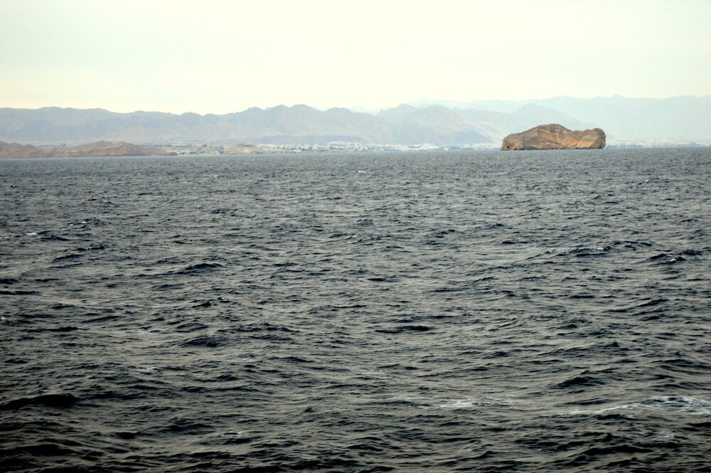 DSC_0426.JPG
