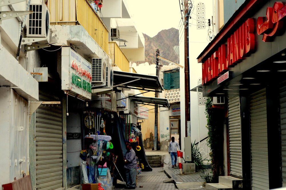 DSC_0498.JPG