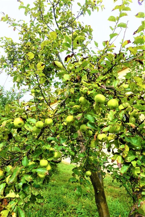 Сербия 2-й день 8.jpg