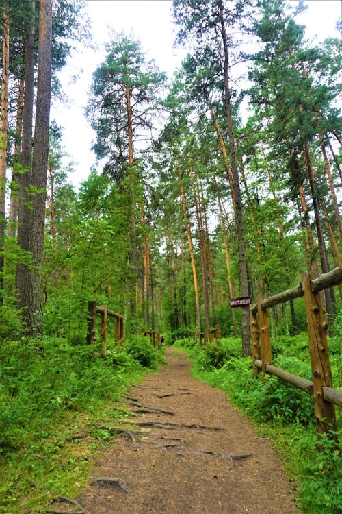 5 день дорога до водопада.jpg