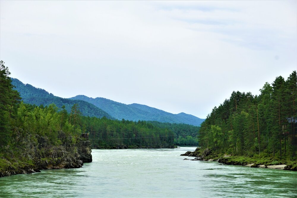 5 день мост4.jpg