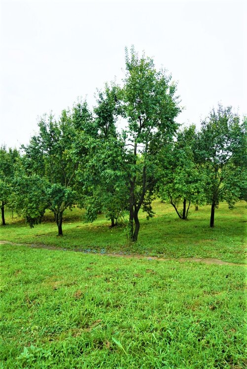 Сербия 2-й день 7.jpg