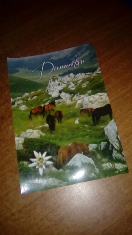 image-2020-12-21 20_07_37.jpg