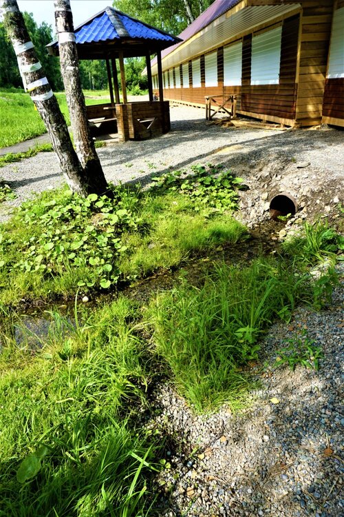 5 день черемшанский источник.jpg