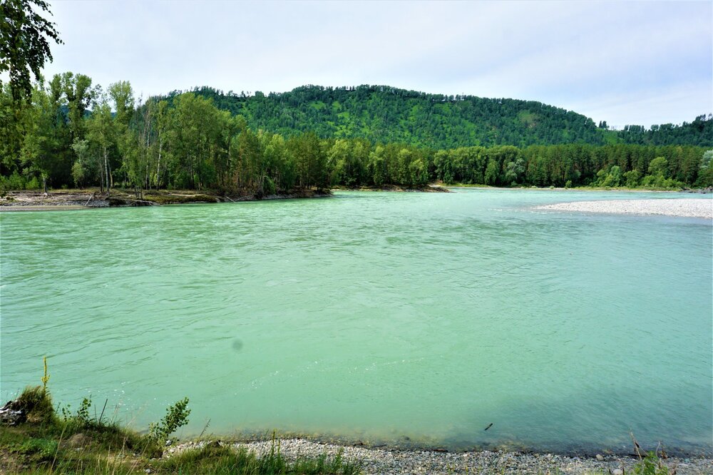 5 день Катунь1.jpg