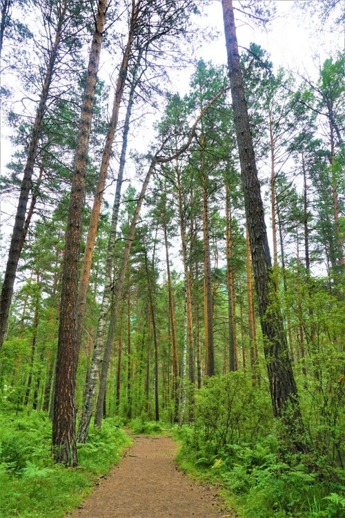 5 день дорога до водопада1.jpg