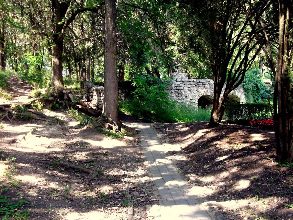 DSCF0713.JPG