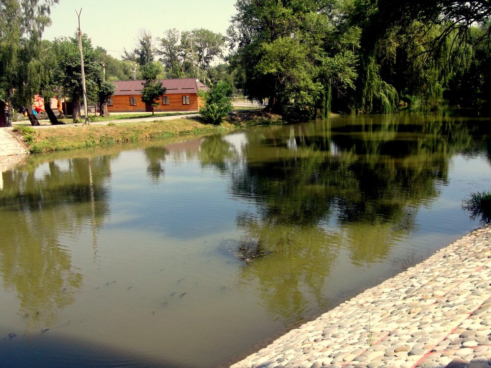 DSCF0771.JPG