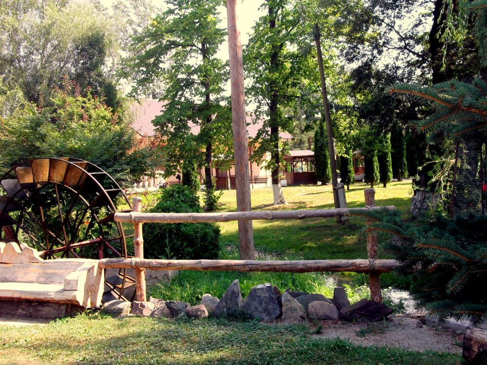 DSCF0783.JPG